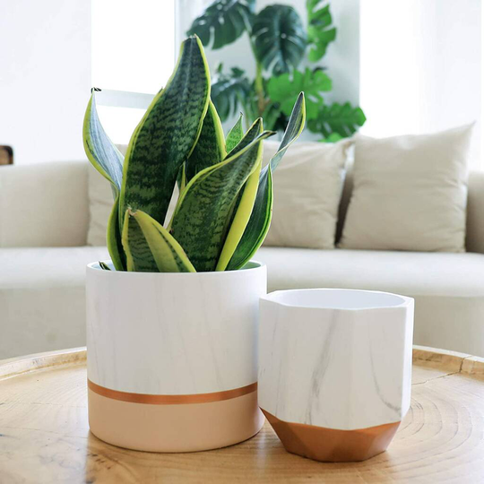 Pack Of Two White Ceramic Flower Pot Garden Planters