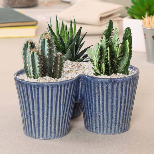 Ribblesdale Blue Ceramic Alpine Succulent Planter
