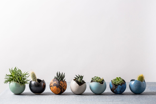 Set Of 7 Medium Ceramic Planters For Succulents