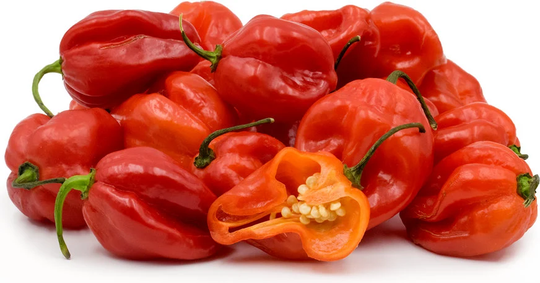Scotch Bonnet Pepper Seeds, Seed Packet 10+, Free Shipping