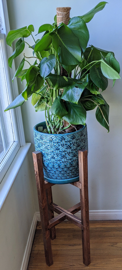 Plant Stand