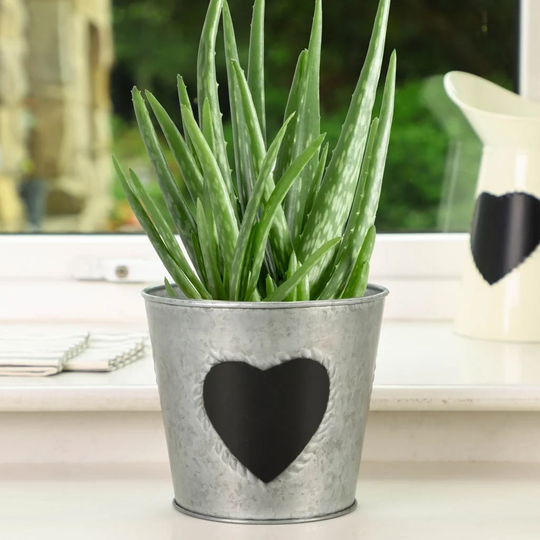Kitchen Windowsill Planter Galvanised Love Heart Chalkboard Herb Pot Home Cooking Flower Gift Present Idea