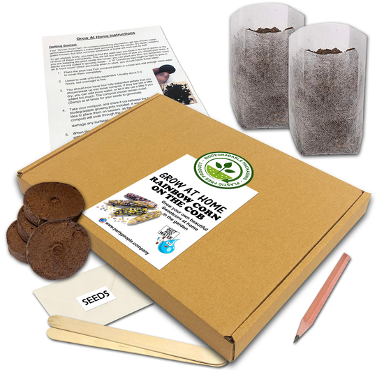 Grow Your Own Rainbow Sweetcorn Kit | Flat Pack At Home - Ideal Birthday Gift, Great Fathers Day Gift