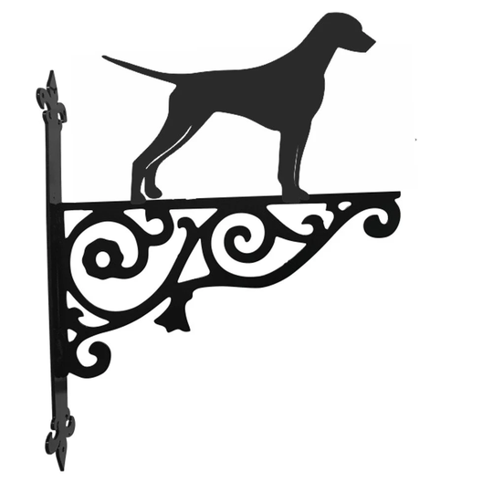 Dalmatian Ornamental Hanging Bracket - Contemporary Basket Wall Mounted Decorative Garden Black