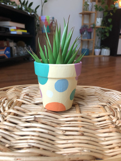 Polka Dot Pot