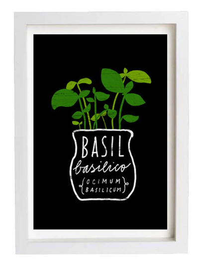 Basil Herb Mediterranean Green Kitchen Art Print 11"x15