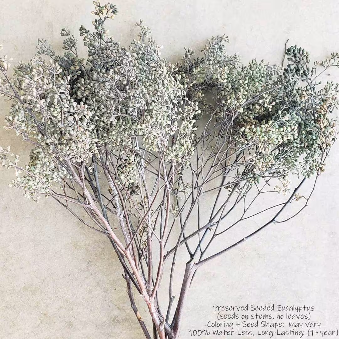 Seeded Eucalyptus, Preserved-Dried | Arrangement, Bouquet, Wedding, Centerpiece, Garland, Decor, Bout, Boho, Rustic