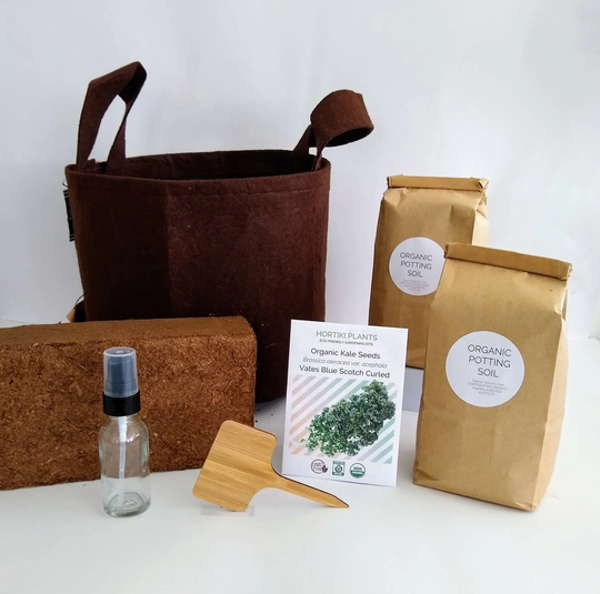 Organic Kale Garden Kit, Container Garden, Gift, Ecofriendly Spring