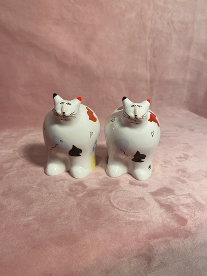 Villeroy&boch Animal Park Catsy Twins Salt & Pepper Set