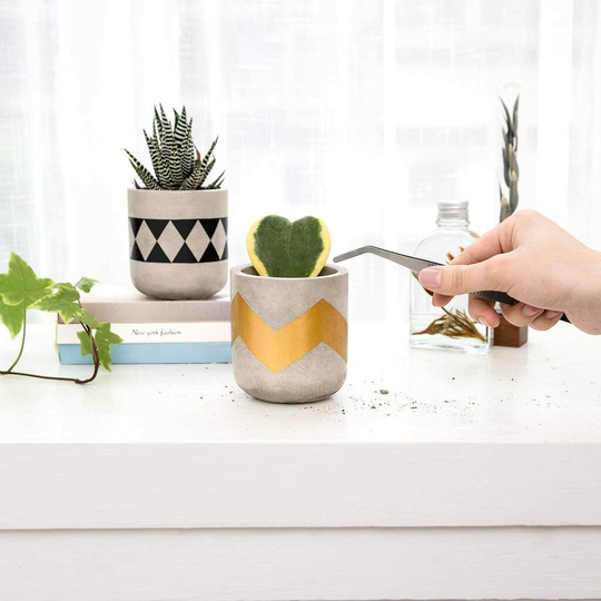 Pack Of Three Modern Indoor Cement Succulent Planters