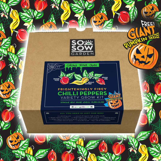 Chilli Pepper Variety Grow Your Own Kit Halloween