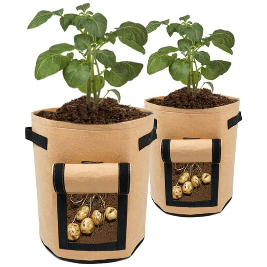 3 Pieces Potato Grow Bag 10 Gallon Planting Bag Garden Plant Bag with Handles and Window for Strawberries Tomatoes Onions Carrots Vegetables with 5