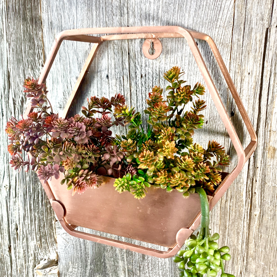 Hexagonal Wall Planter Ltzaf106