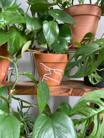 Plant Pot - Terracotta Pot With One Line Face Painting