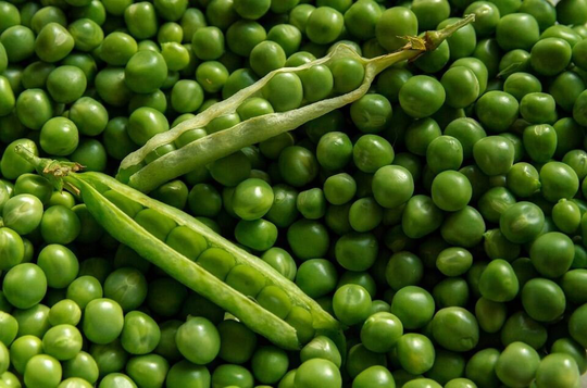 Garden Pea Onward Approx. X250 Seeds, Vegetable Seed, Fairy Flower Seeds