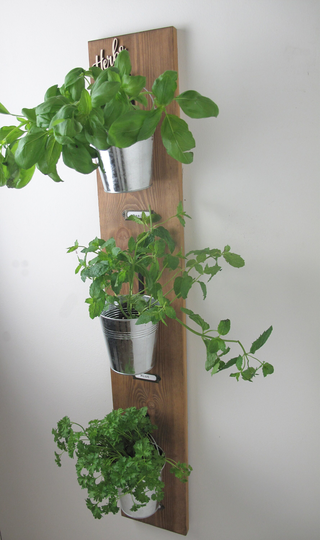 Wall Hanging Herb Garden With Rustic Tin Pots, Kitchen Decor, Green Fingers, Herbs & Spices, Home Decor, Housewarming Gift