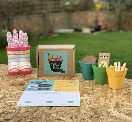Grow Your Own Spinach Kit For Children