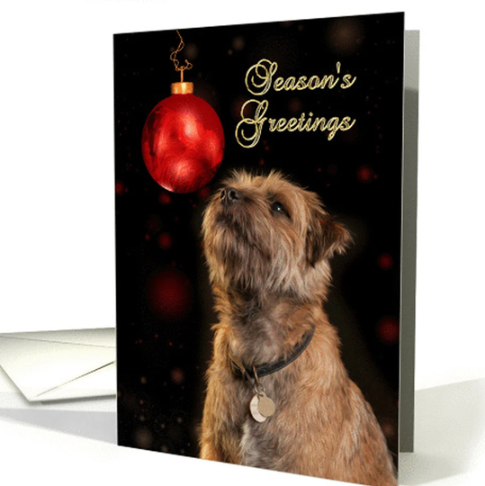 Season's Greetings With Border Terrier Dog & Bauble Card - No Glitter Foil Or Gold