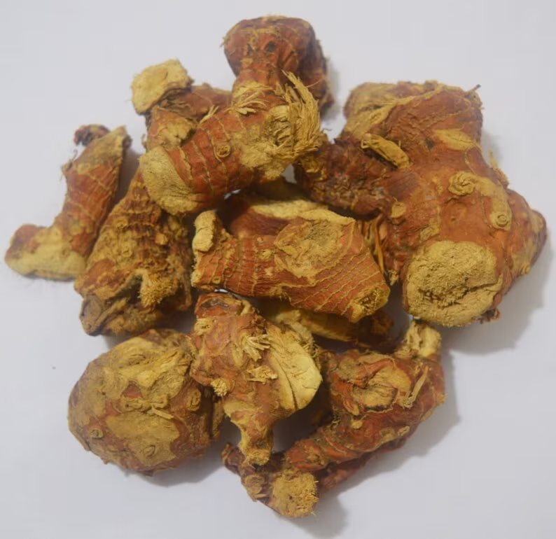Kulanjan/Paan Jadd/Kulinjan/Alpinia Galanga/Greater Galangal/Chitharathai Root/Thai Ginger/Malayvacha/Vacha 100% Pure Natural Herbs Whole