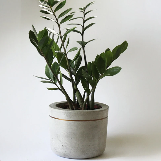 Large Concrete Plant Pot, Planter, Pot Holder, Beton Cement Pot, Herb Planter, Potteplante, Blumentopf, Gray