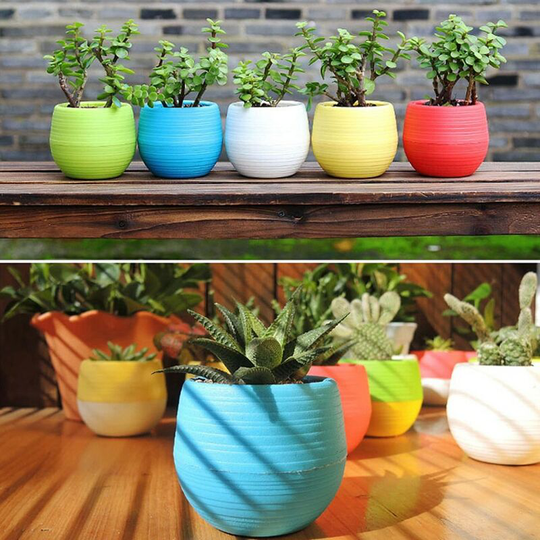 1PC blue Mini Flower Pots Colourful Round Plastic Plant Flower Pot planters for succulents Decor Plants Desktop Flower Pots Maceta
