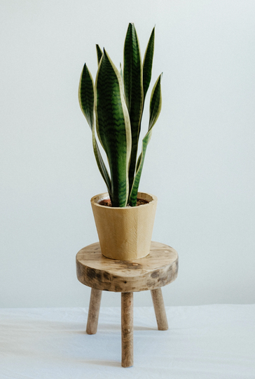 Round Rustic Wooden Plant Pot Stand