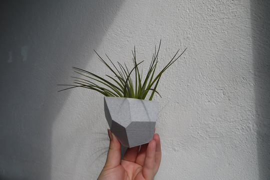 Magnetic Any Colour Mini Pot - Fridge Plant Based 3D Printed Air Plant New Home Eco Succulent Planter Modern