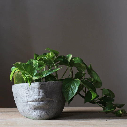 Half Face Planter