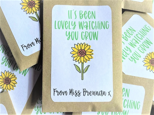 Personalised Teacher Seed Packets Envelopes With Sunflower Seeds | End Of Term Gift To Students School Class