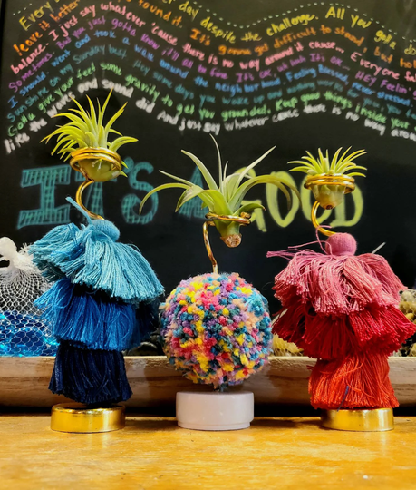 Rainbow Pom Puffball .. Air Plant Holder 5