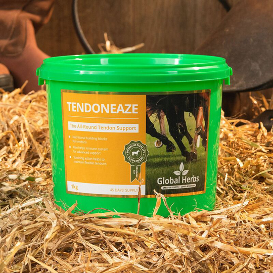 Tendoneaze - 1 Kg - TENDONEAZE1KG - Global Herbs