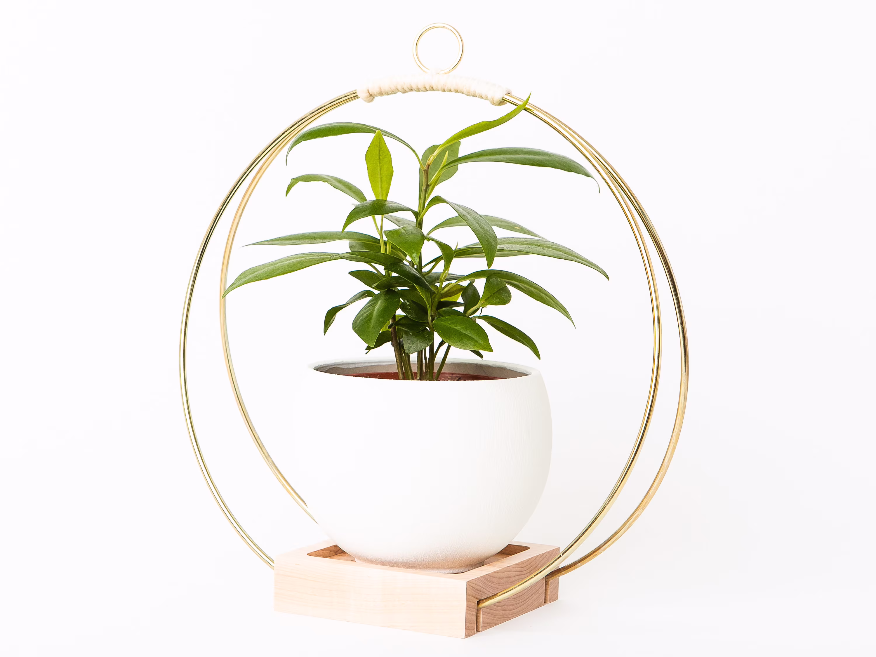 Plant Hanger, Hanging Planter, Modern Indoor Gold Hanger