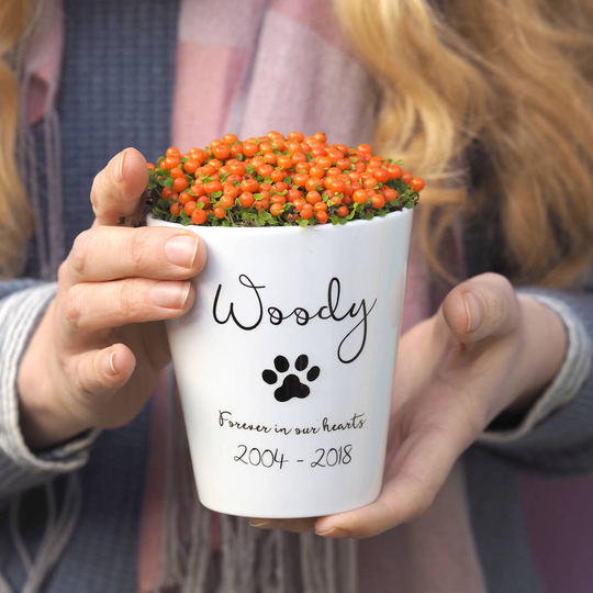 Personalised Pet Memorial Plant Pot With Seeds