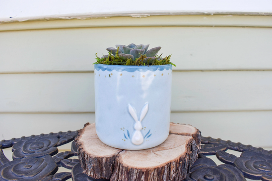 Blue Bunny Ceramic Pot With Live Succulent | Small Light Animal Plant Included