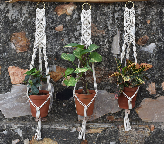 Set Of 3 Macrame Plant Hanger, Hanging Planter, Indoor Hanger , Macrame Holder, Macrame Hanging, Outdoor