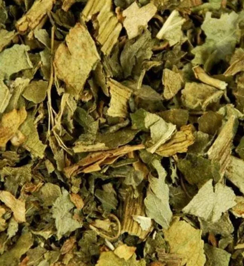 Angelica Dried Herb, Pagan, Wiccan, Witchcraft, Spells, Rituals, Incense, Apothecary, Witch