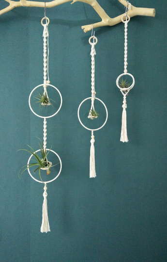 Macrame Air Plant Holder/Hanger/Hanging For Home, Boho Wall Hanging Decor