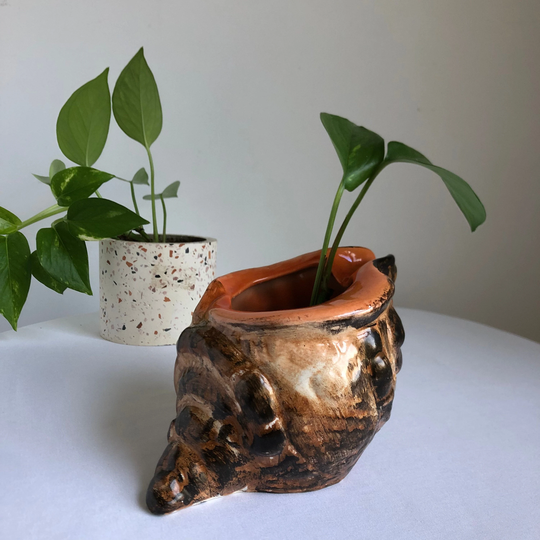 Vtg Seashell Planter, Vintage Conch Brown Seashell, Beach Decor, Cottagecore Jungalow Italian Planter