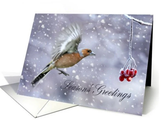 Chaffinch, Season's Greetings, Christmas Card, Holiday Chaffinch in The Snow, Bird Card