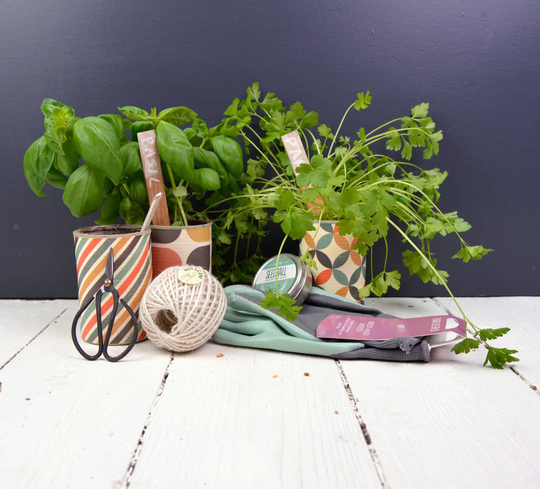 Trio Of Retro Herb Planters