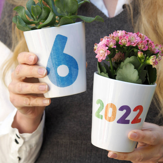 Number Plant Pot