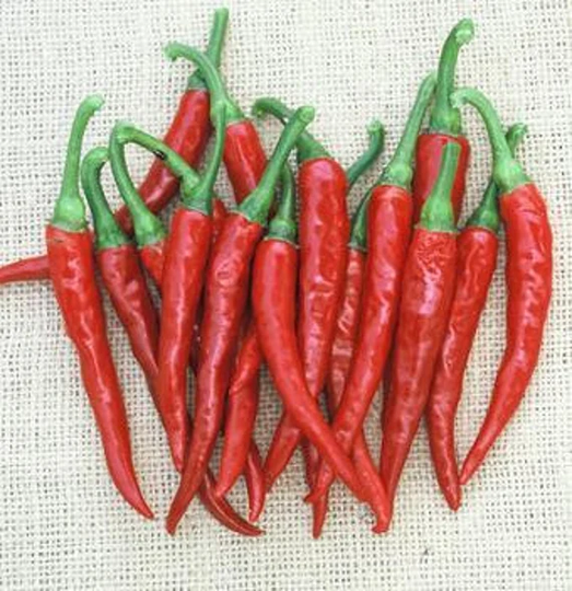 Ring Of Fire Pepper Seeds
