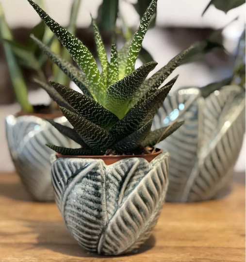 Leaf Plant Pots A Set Of Three