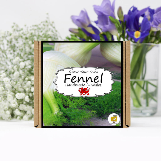 Grow Your Own Herbs Kit / Fennel