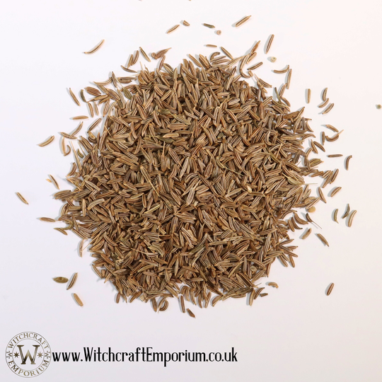 Carraway Seeds - Herb Organic Natural Vegan Pagan Wicca Wiccan Spell Potion Ritual Magic Magick Energy Tea