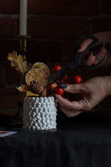 Skull Planter Vase/Catacomb Make Up Brush Holder