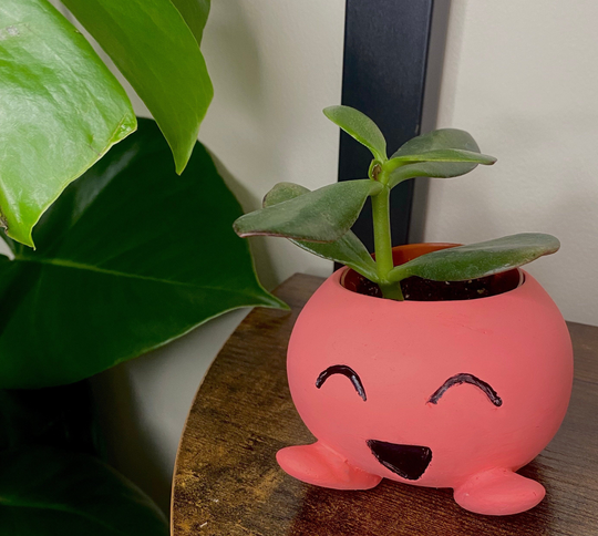 Handmade Cute Jesmonite Planters, Sid The Planter, Small Cacti Pot, Jesmonite, Eco Friendly Gift, Valentines Gift, , Face Planter