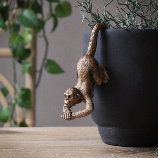 Gold Monkey Tail Pot Hanger