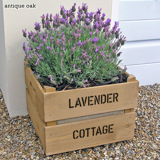 Personalised Square Planter Crate With Lavender Seeds, Silver/Ivory/Pink