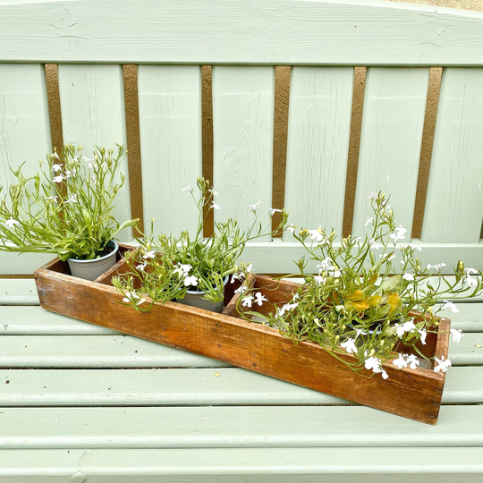 Rustic Wooden Planter | Herb Vintage Garden Decor Succulent Shelves Shelf Greenhouse